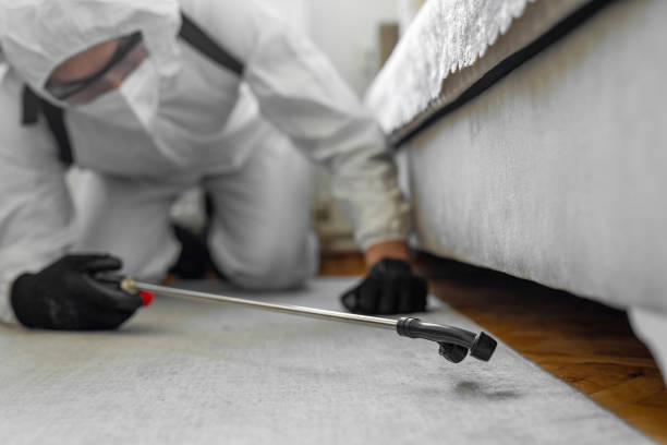 Professional Termite Control technician working in Dundee, OR
